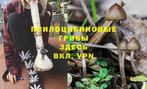 мяу мяу мука Карпинск