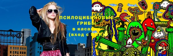 PSILOCYBIN Карталы