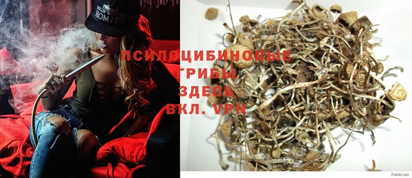 PSILOCYBIN Карталы