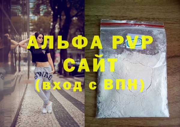 PSILOCYBIN Карталы