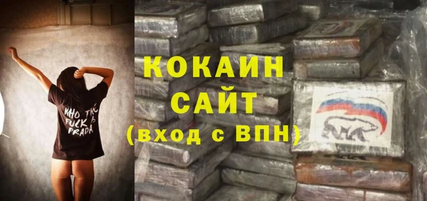PSILOCYBIN Карталы