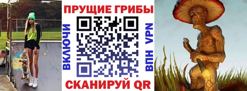 даркнет состав  Элиста  hydra вход  Псилоцибиновые грибы Psilocybe  где найти  